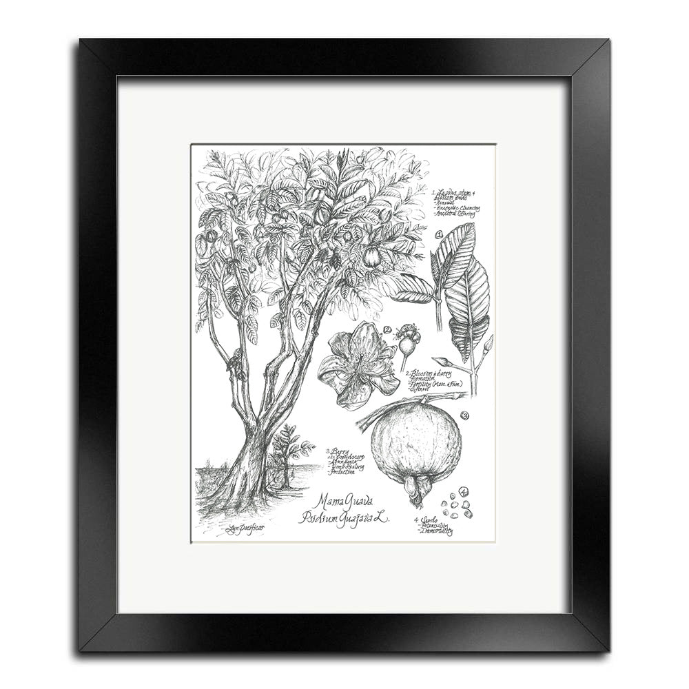Mama Guava Spiritual Botanical Illustration