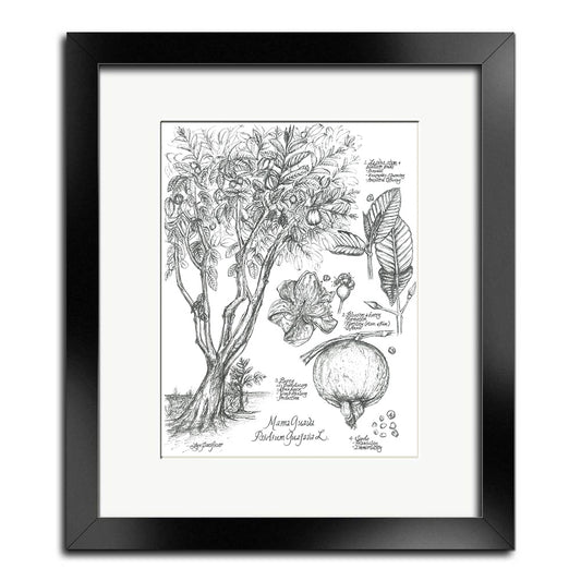Mama Guava Spiritual Botanical Illustration