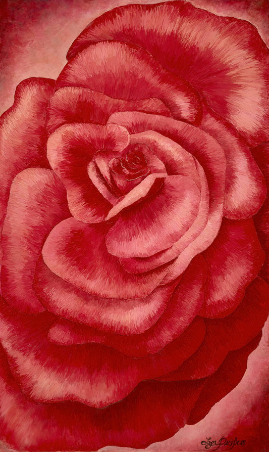 Garden Rose